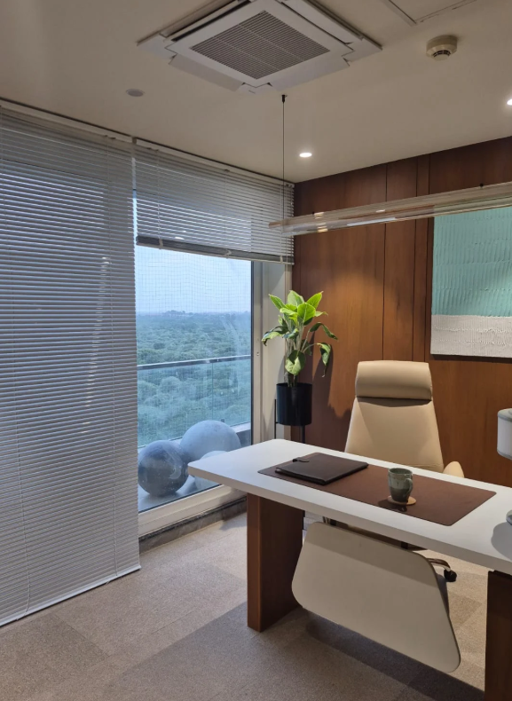 Horizontal Blinds